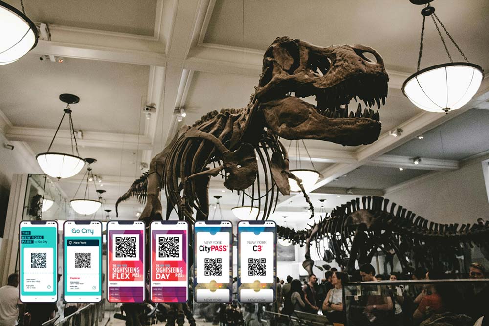 Atracciones de Nueva York Museo Americano de Historia Natural